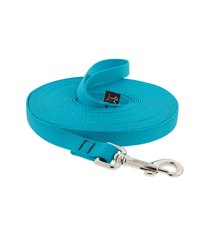 Lupine Lupine® Basics Training Leads for Dogs Aqua 3/4" x 30'