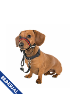 Halti Company of Animals® Halti® OptiFit Headcollar