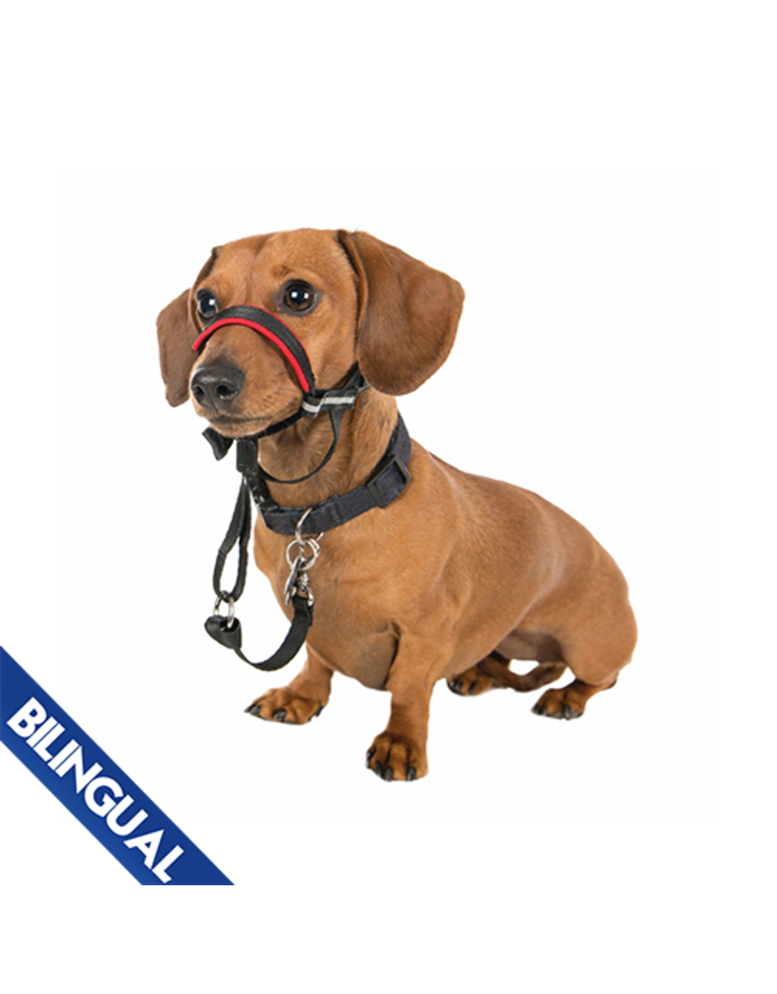 Halti Company of Animals® Halti® OptiFit Headcollar