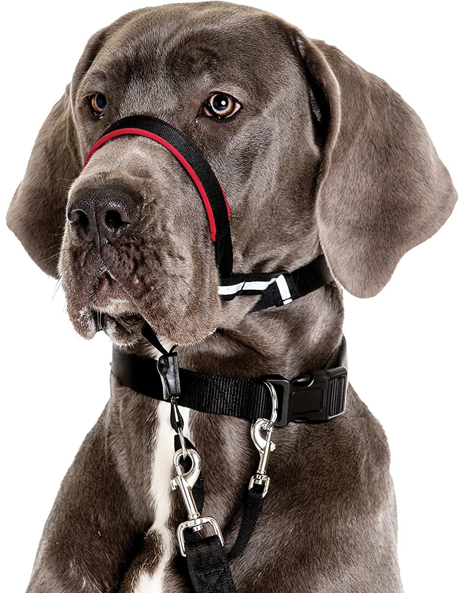 Halti Company of Animals® Halti® OptiFit Headcollar