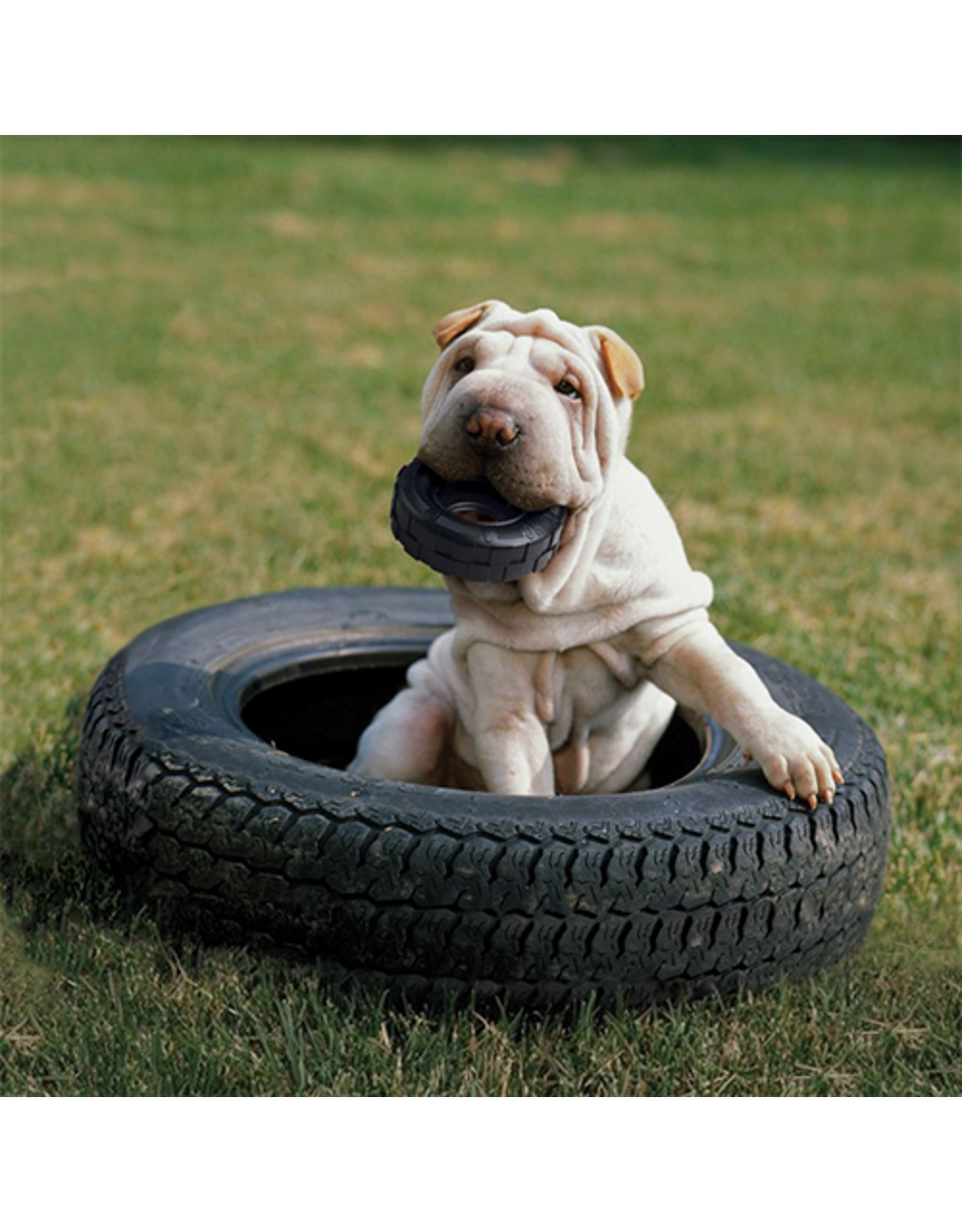 Kong Kong® Extreme Tires Small Dog Toy