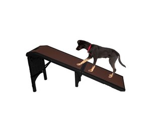 extra large dog steps