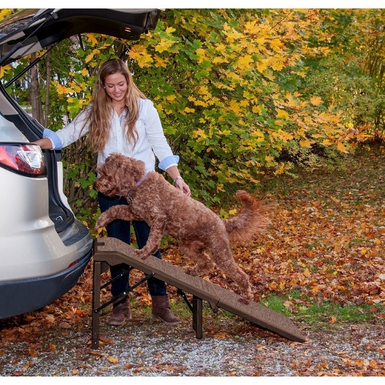 wide dog ramps for cars