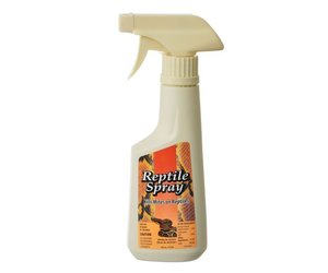 ray allen dog training