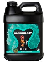 Future Harvest Carbo-Blast 2.5 Gallon