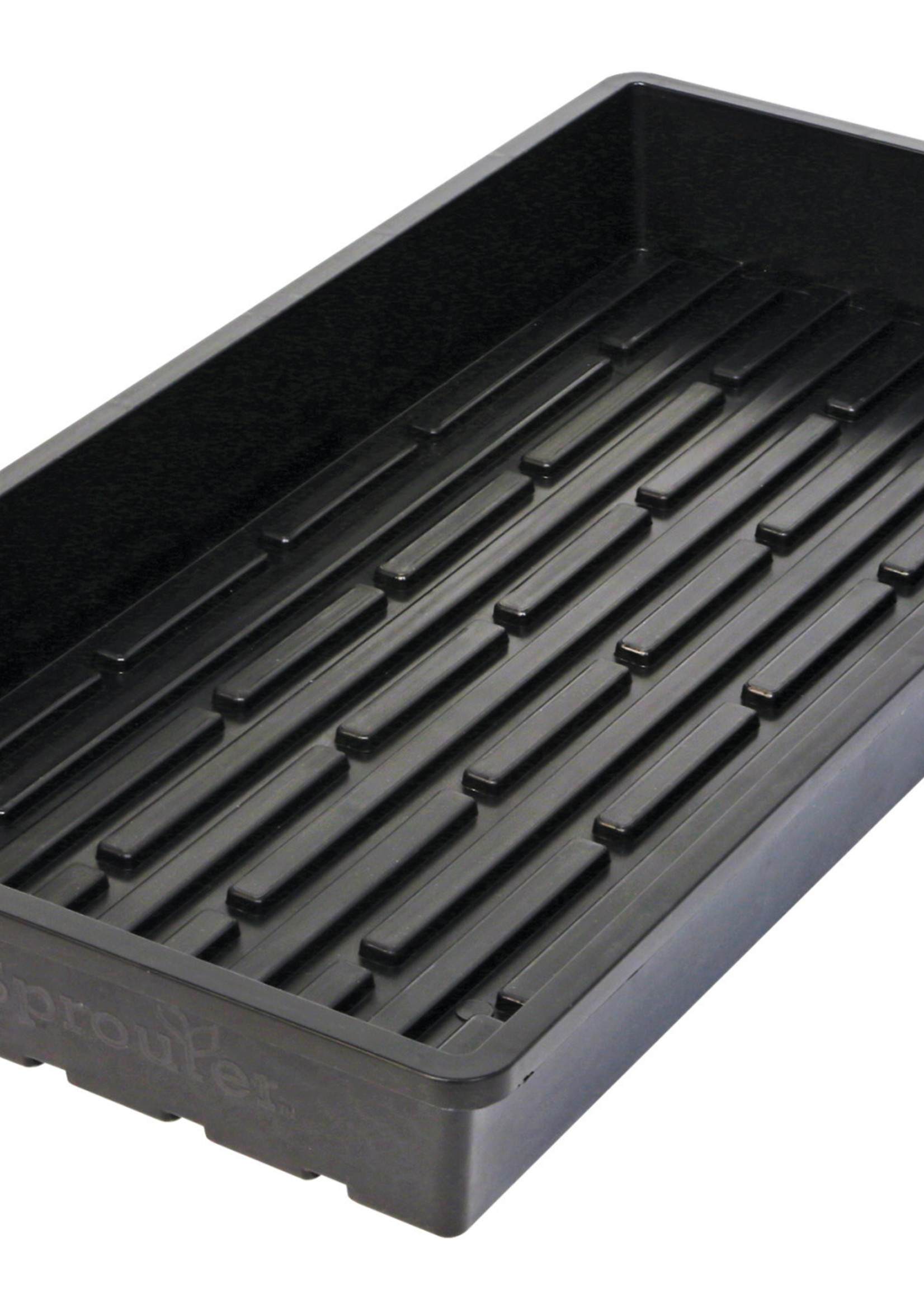 Super Sprouter Quad Thick 10 x 20 Tray - No Hole (25/Cs)