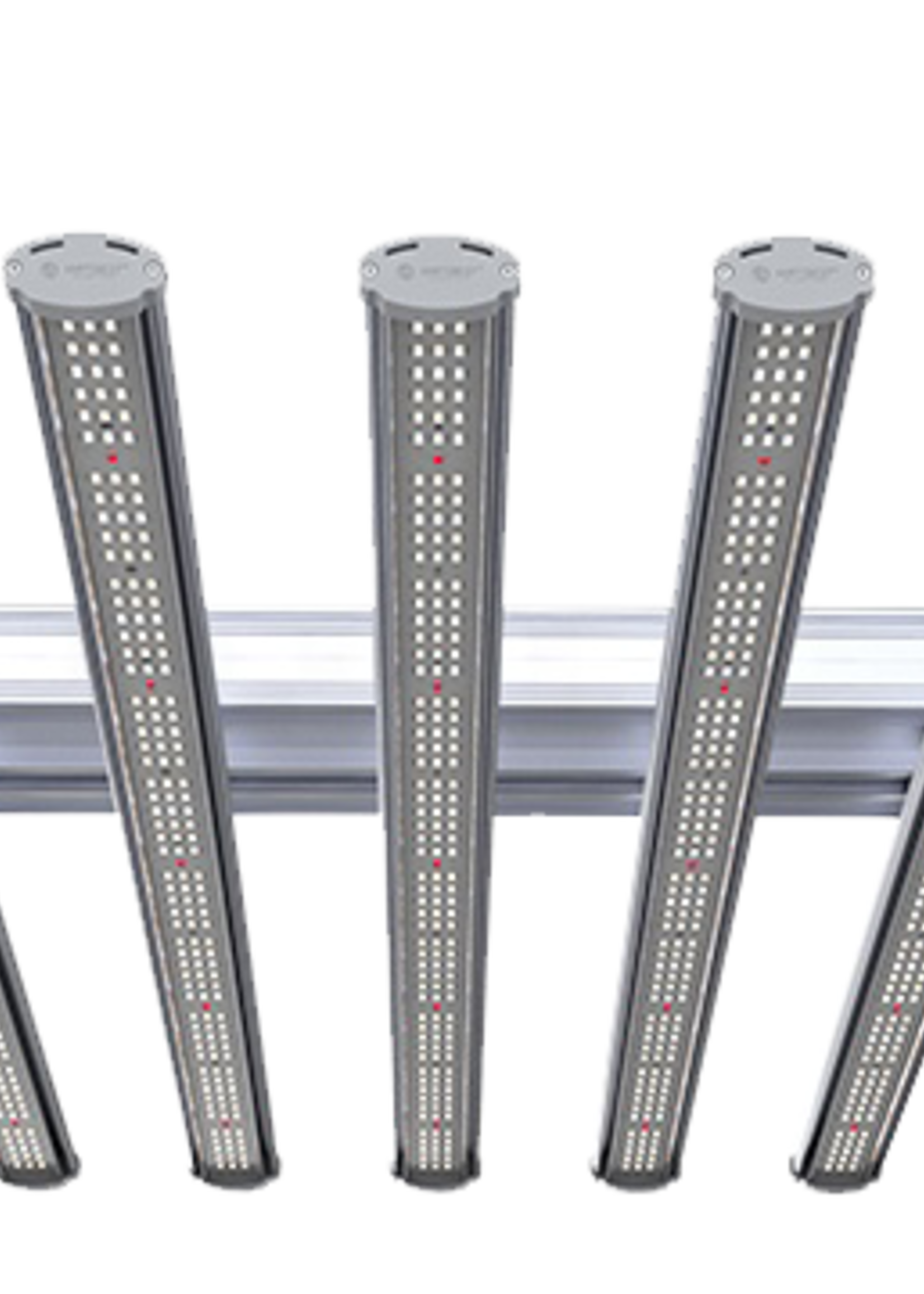 ILUMINAR ILUMINAR IL8X 2.6 670W 1742UMOLS 120/277V 8 BAR FSG