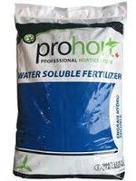 Prohort WS 20-20-20