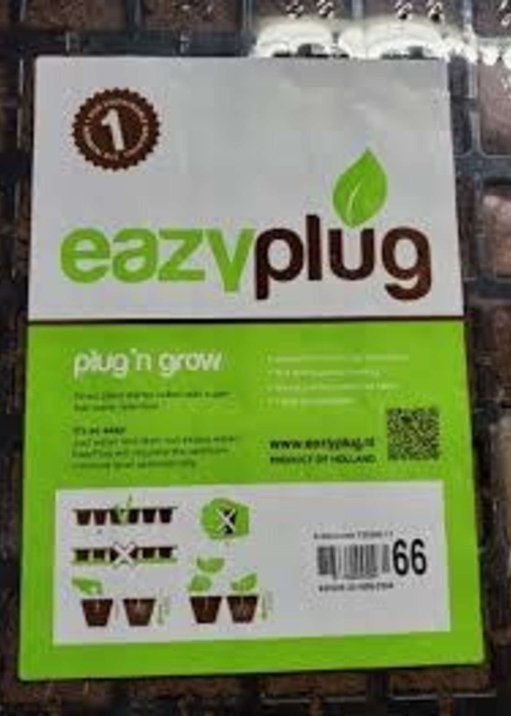EAZY Plug CT66 (10x20)