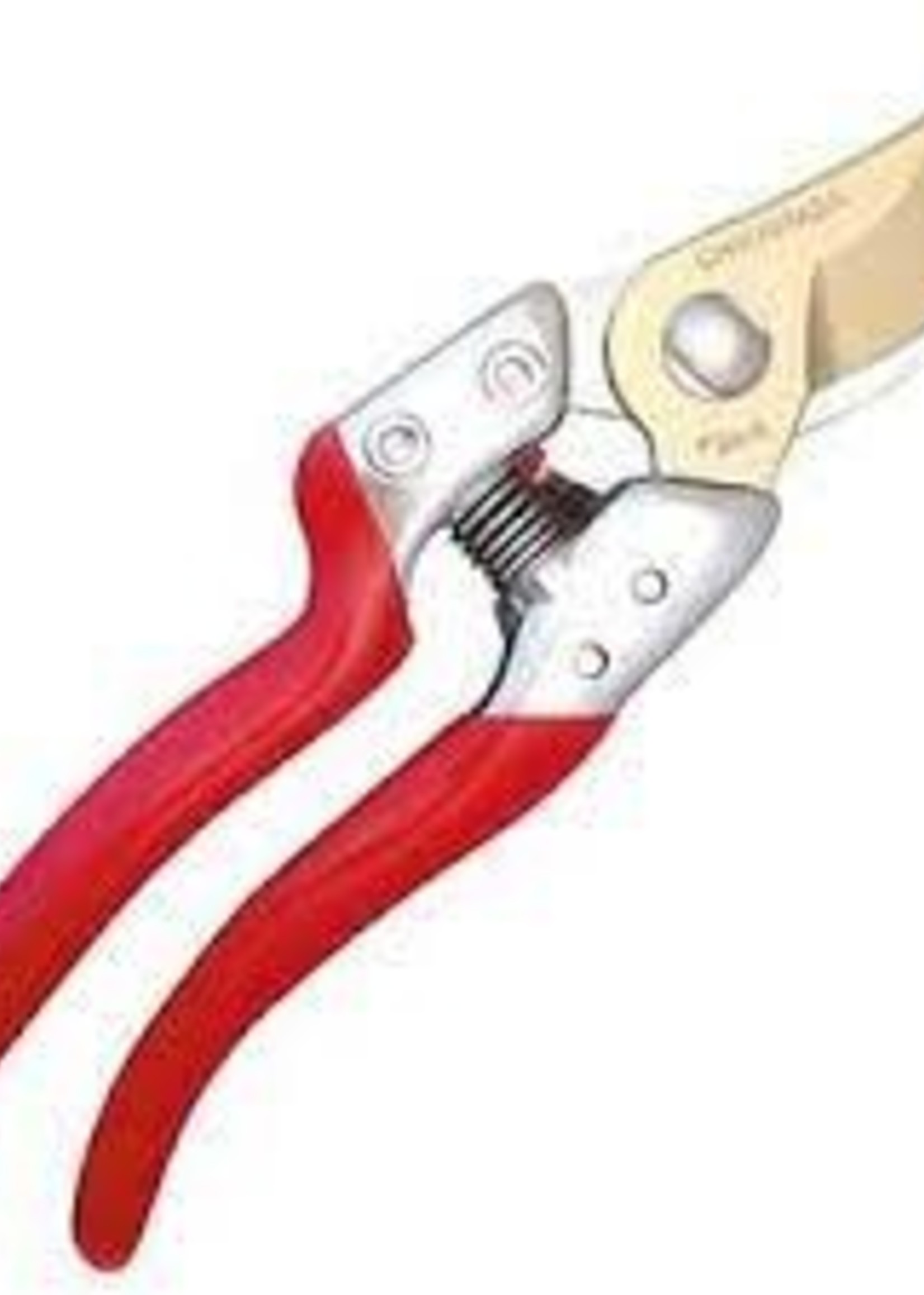 Chikamasa CHIKAMASA PSA-G8 CARBON STEEL FLUORINE