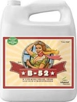 Advance Nutrient B-52 23L