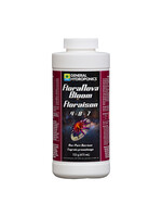 General Hydroponics GH FloraNova Bloom Pint (12/Cs)