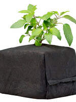 Botanicare Botanicare® CocoPro Cube 6x6x6 30ct