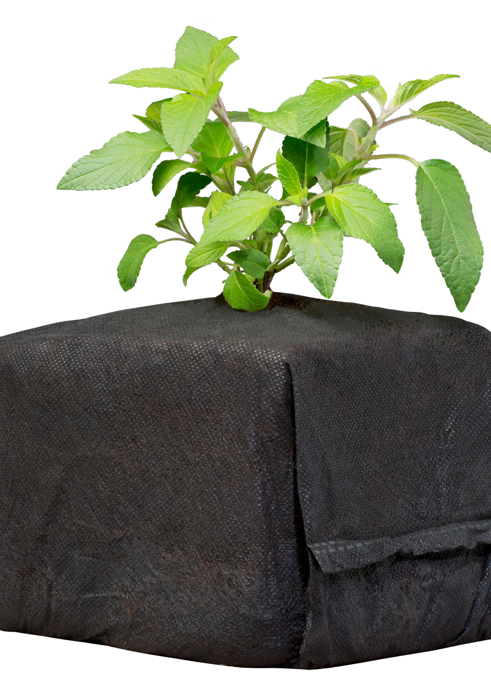 Botanicare Botanicare® CocoPro Cube 6x6x6 30ct