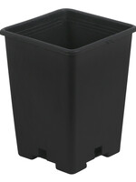 Gro Pro Black Plastic Square Pot 5 x 5 x 5.25 in (8400/Plt)