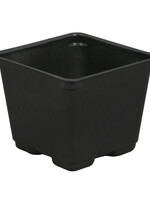Gro Pro Square Plastic Pot Black 3.5 in (1375/Cs)