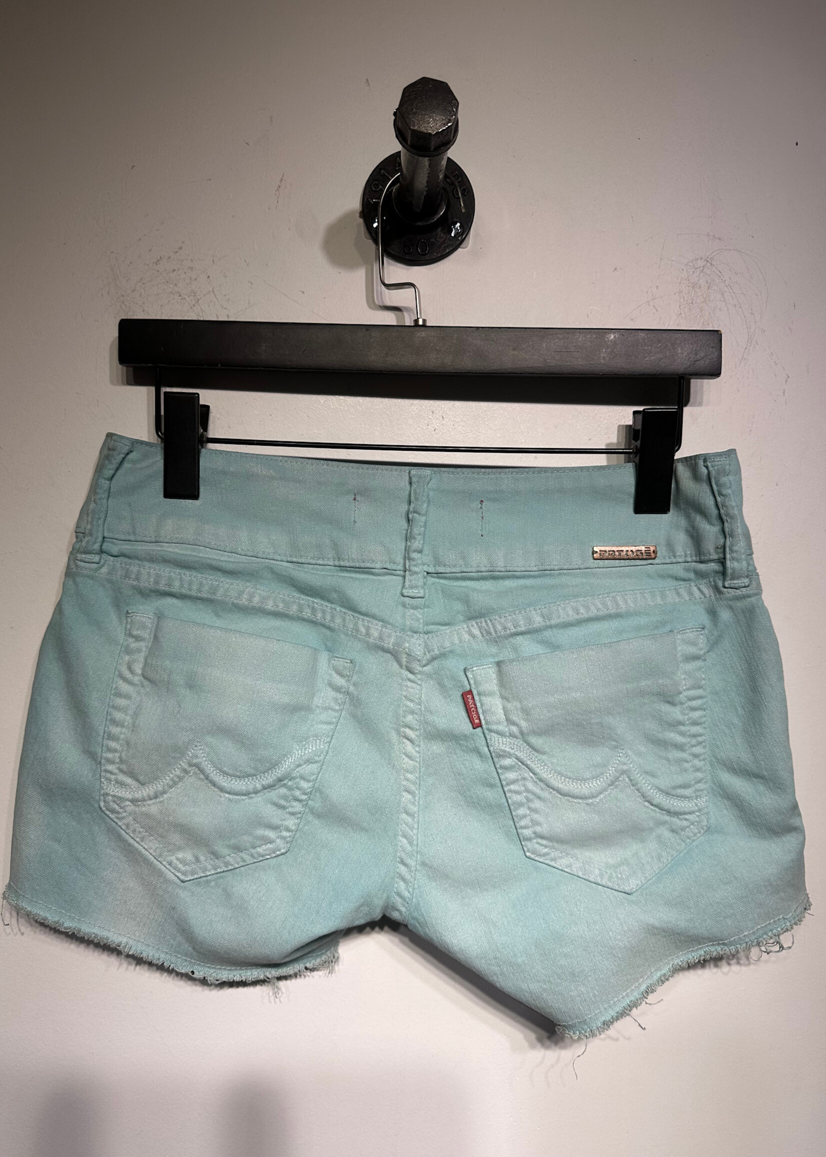 Patoge Y2K Blue Toned Shorts 26