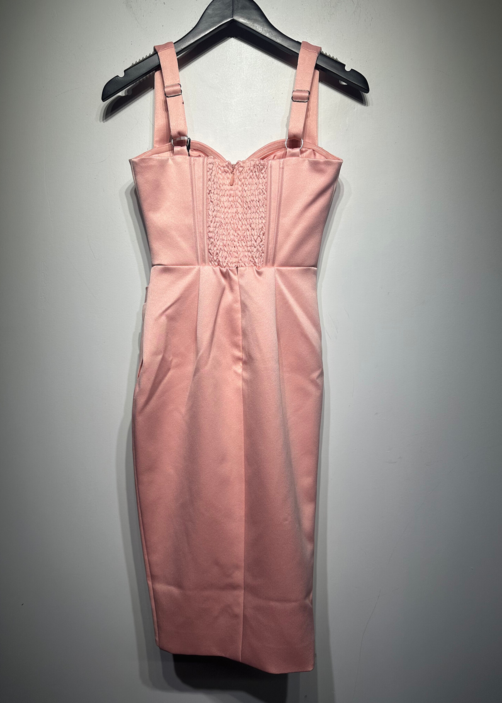 Lavish Alice NWT Pink Corset Dress XS (Retail: $150+)