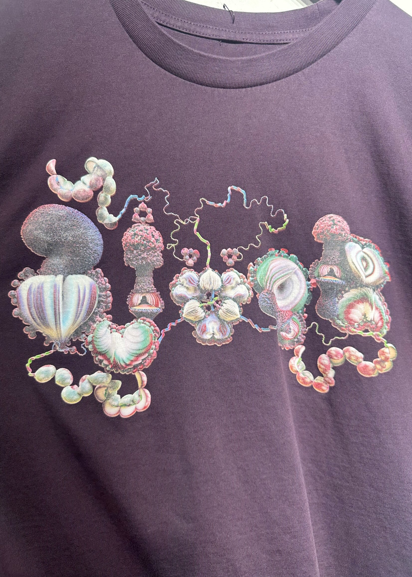 Bjork Coachella 23 Tee XL