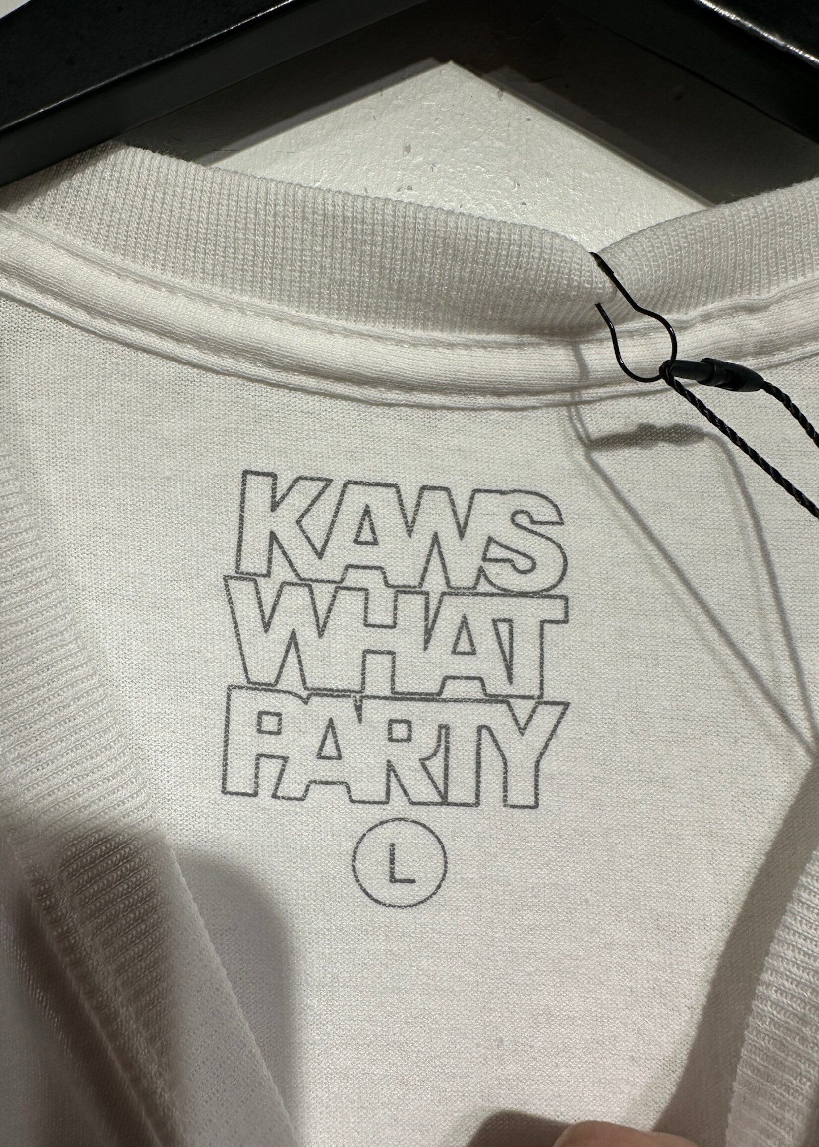 Kaws Brooklyn Museum Graphic Tee Masc L