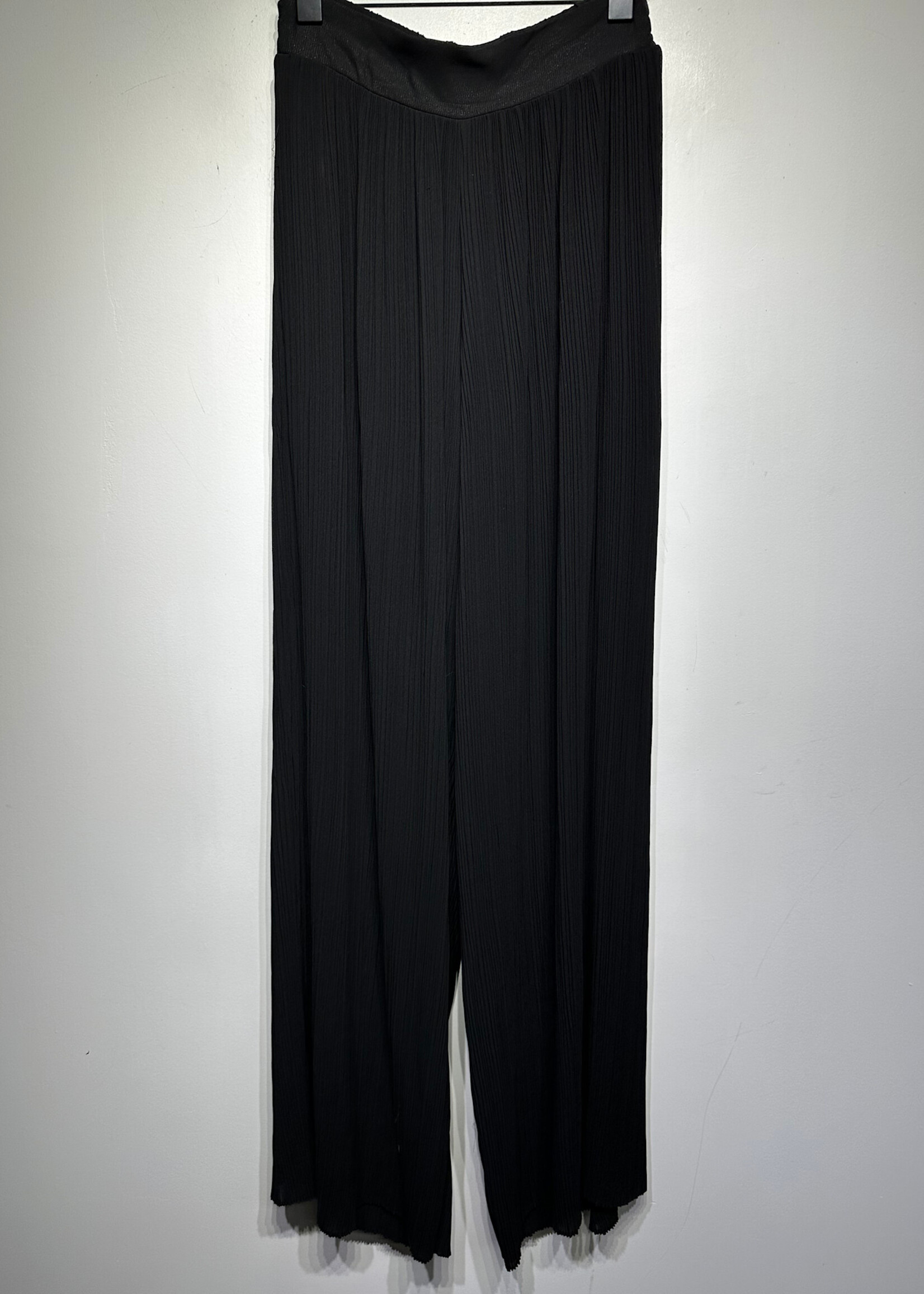 NWT Misa Black Pleated Wide Leg Pant 25