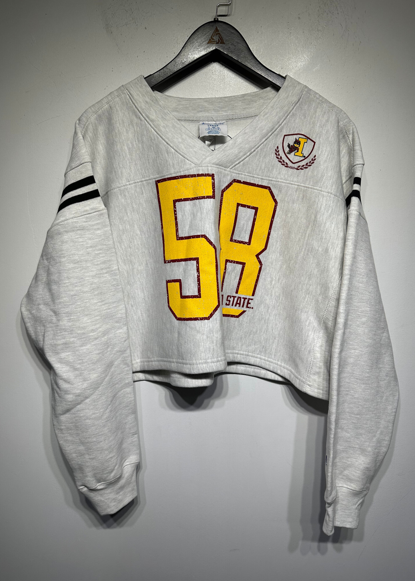 NWT CHAMPION IOWA STATE SWEATER L