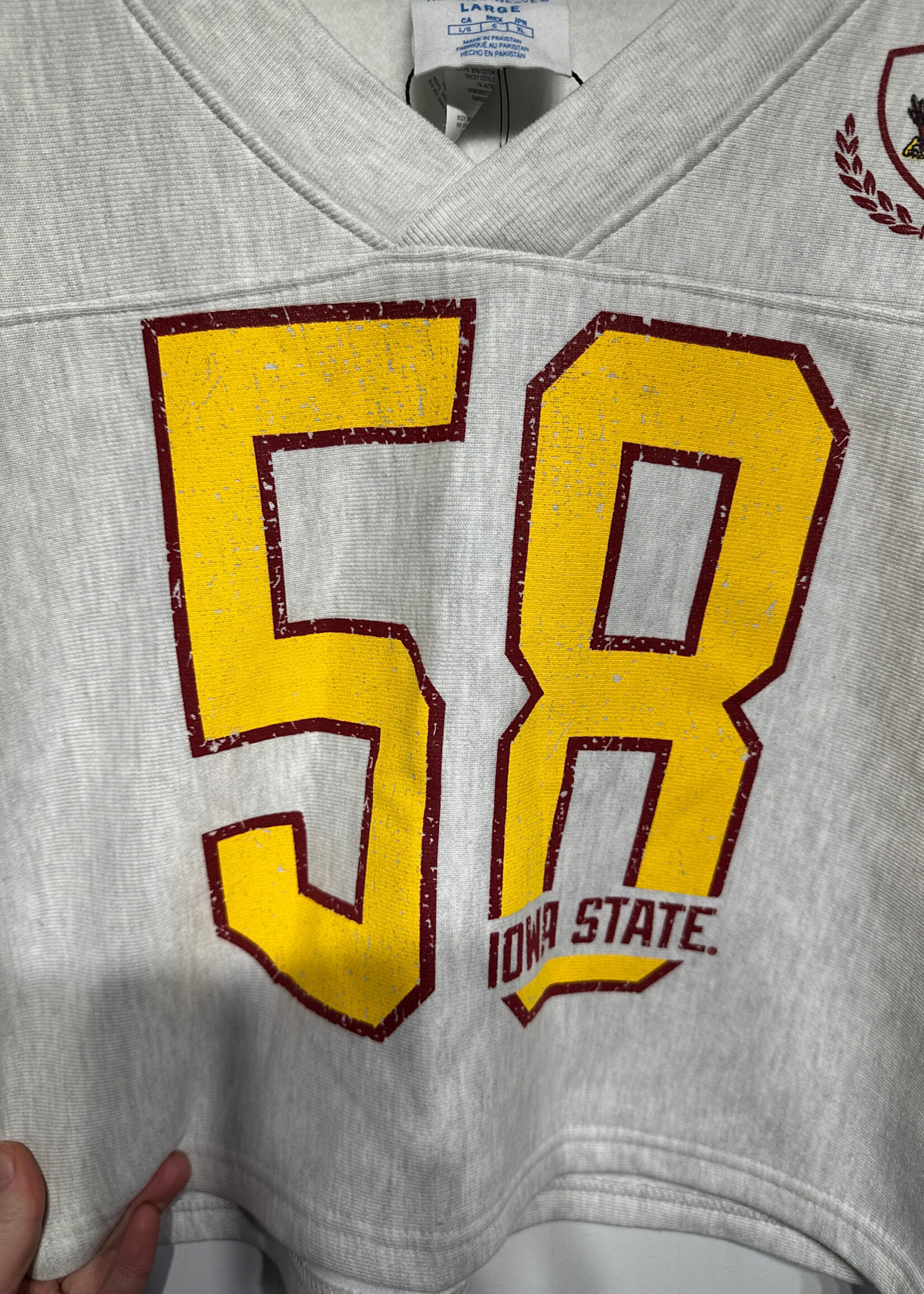 NWT CHAMPION IOWA STATE SWEATER L