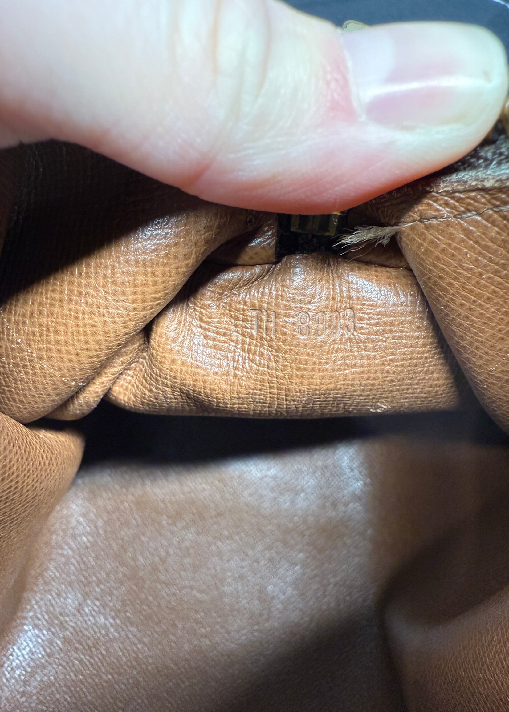 Louis Vuitton Vintage Papillion Bag