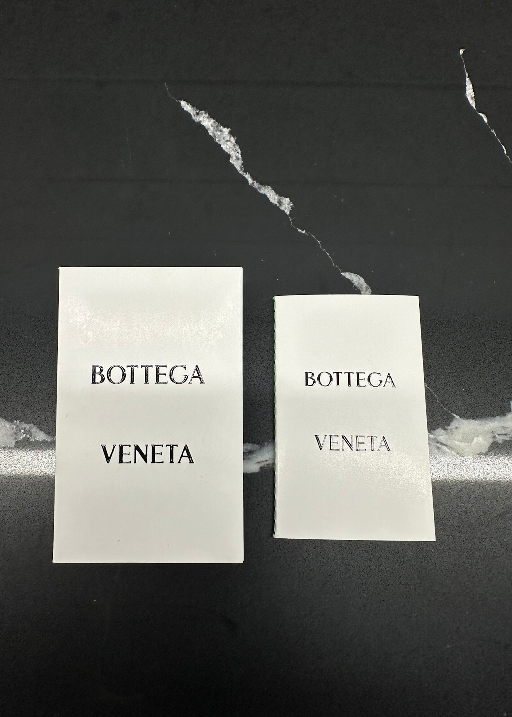 Bottega Veneta Intrecciato Mini Loop Camera Bag