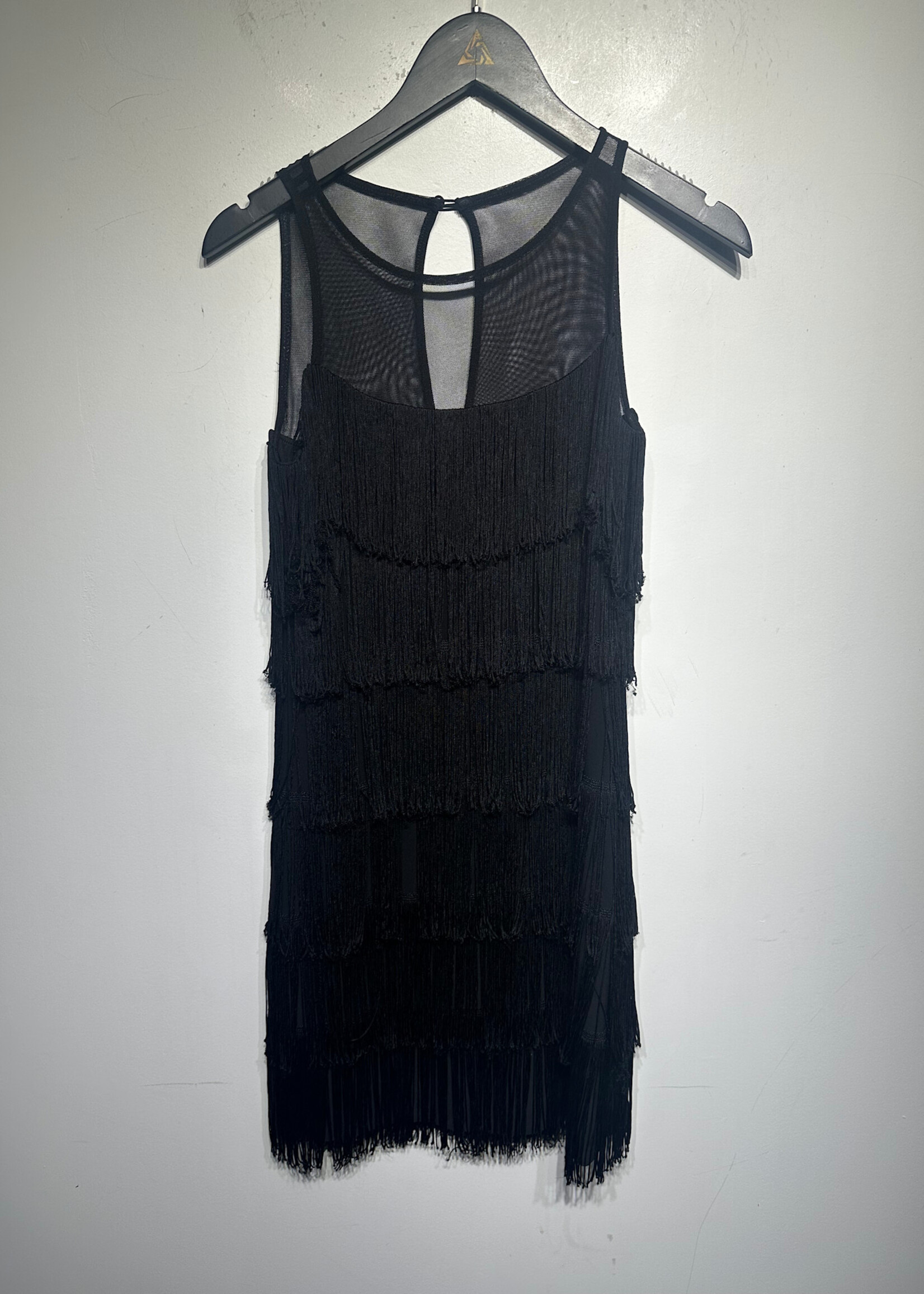 WHBM Mesh Fringe Dress XXS