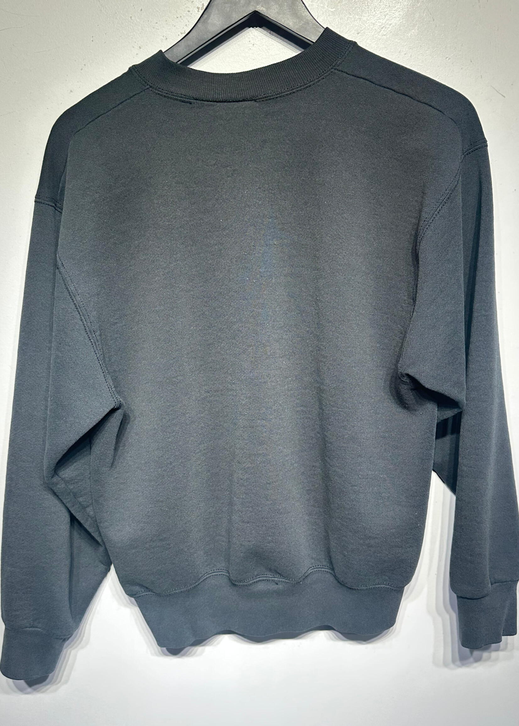96 Carolina Panthers Division Champs Sweatshirt M