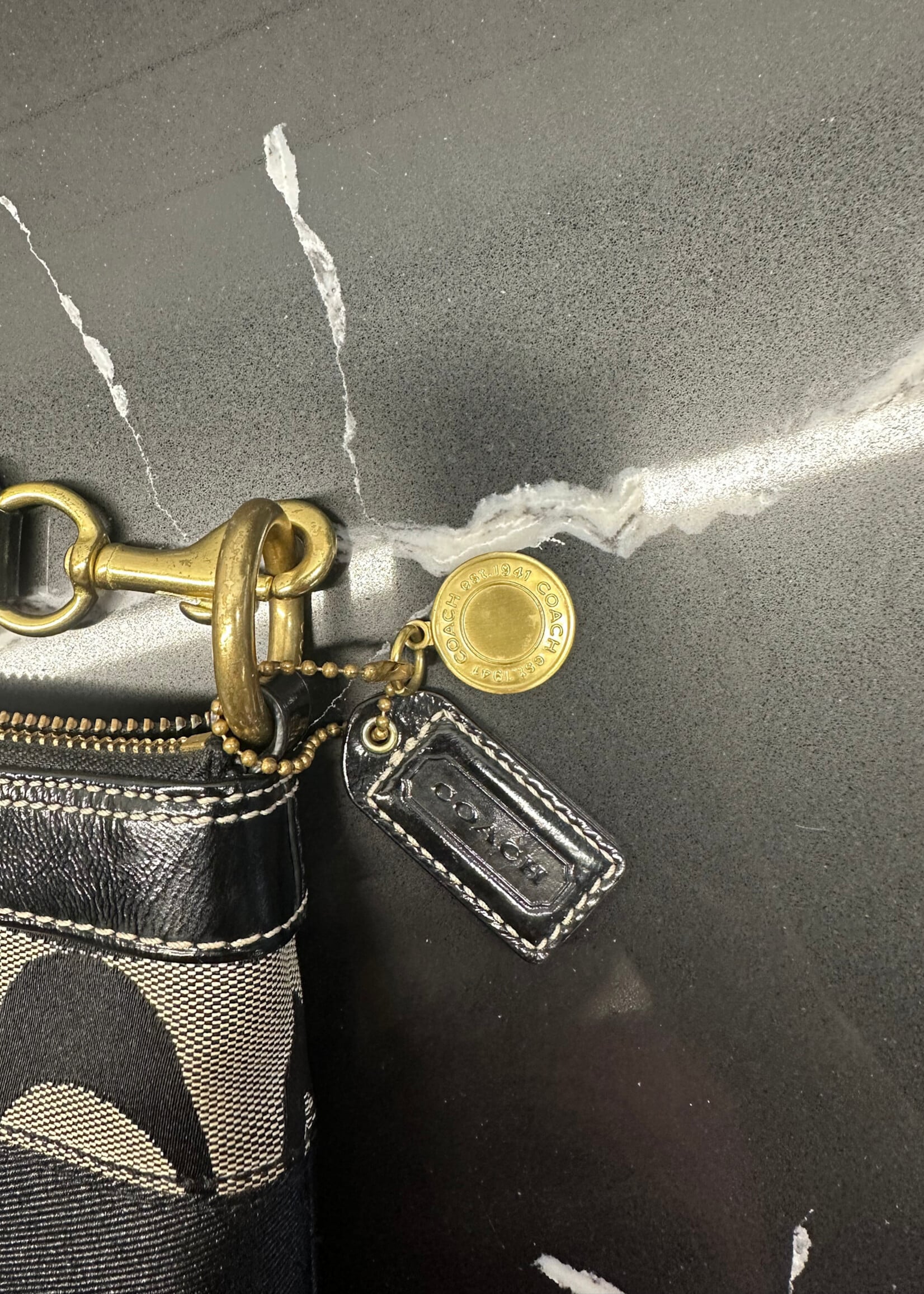 Coach Y2K Monogram Small Shoulder Bag