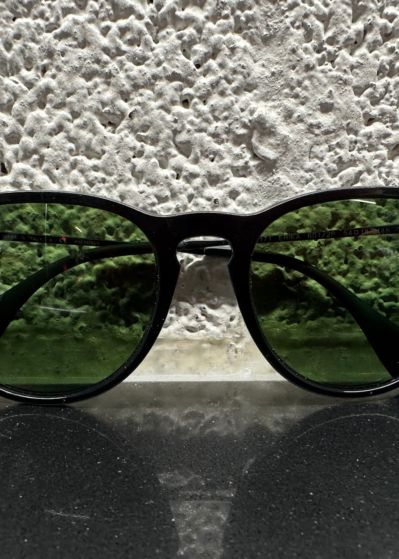 Rayban Polarized Erika W CASE