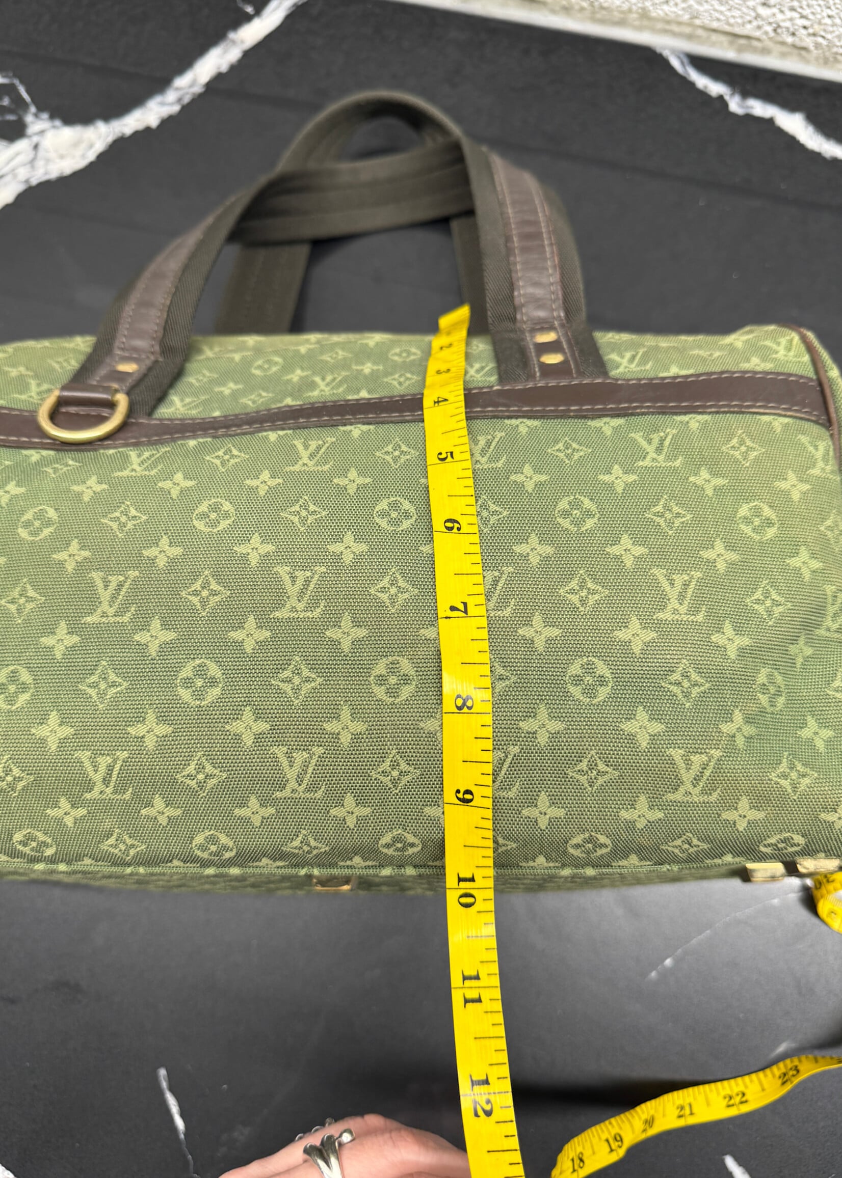 Louis Vuitton 2001 Josephine GM Canvas Bag