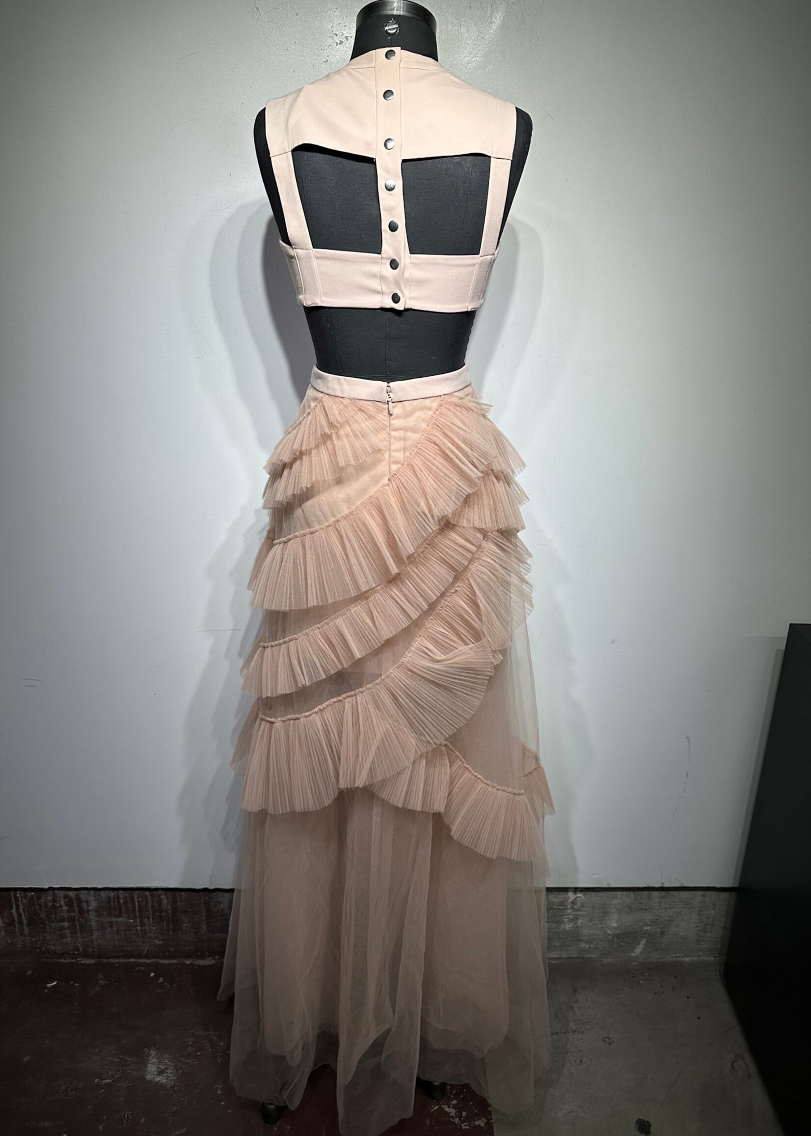 BCBGMaxAzria Beige Maxi Tulle Dress XS