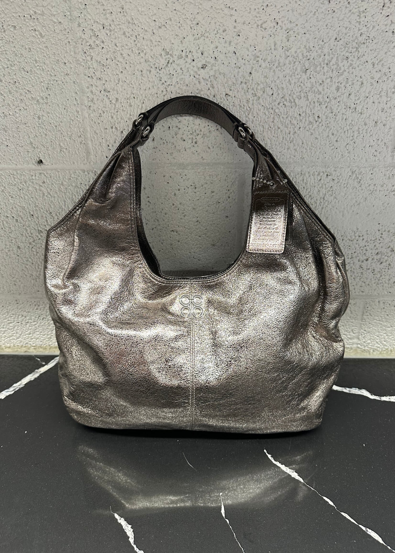 COACH METALLIC JULIA LEATHER HOBO SET