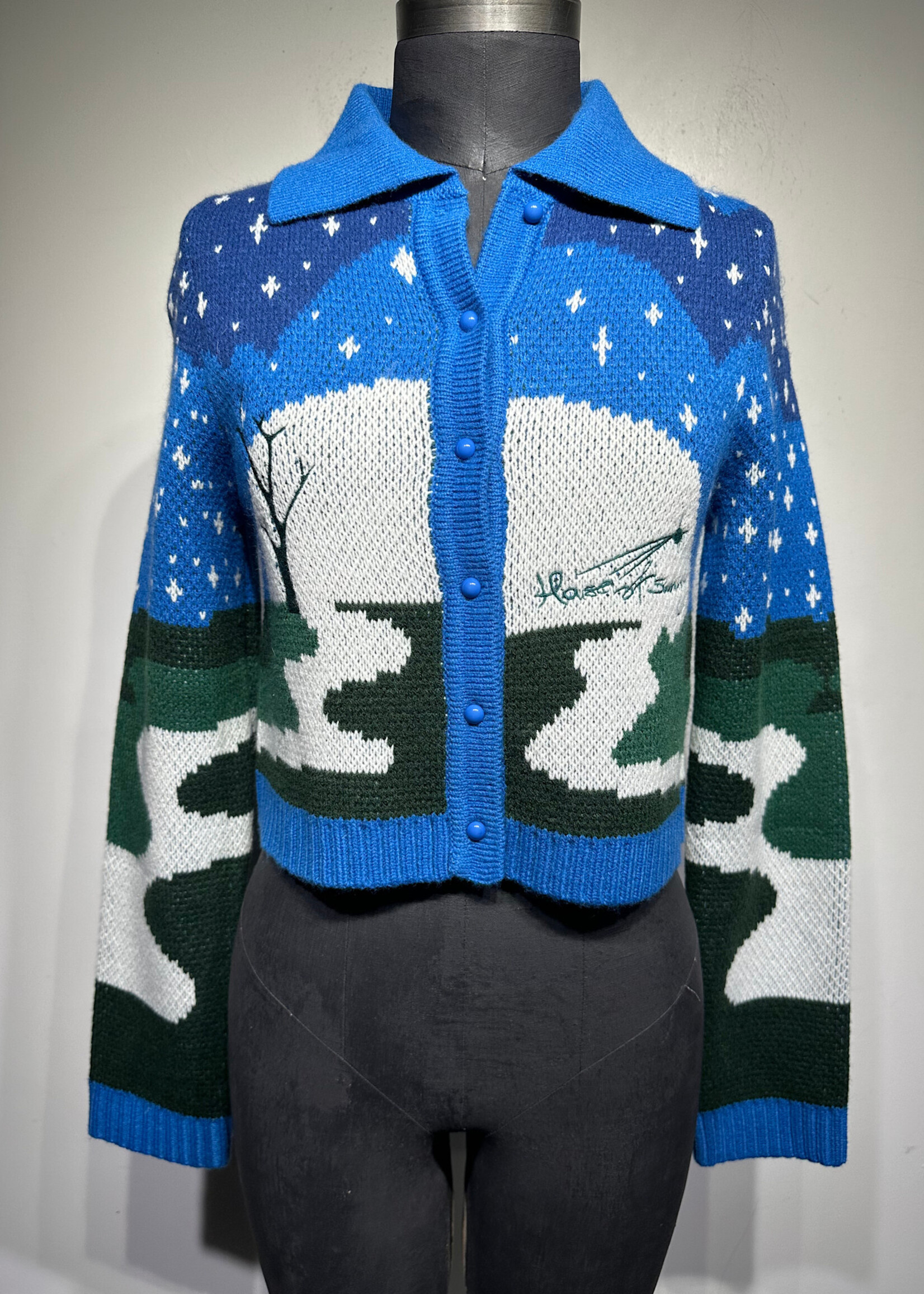 NWT House of Sunny Blue Knit B/U Sweater 2/XS