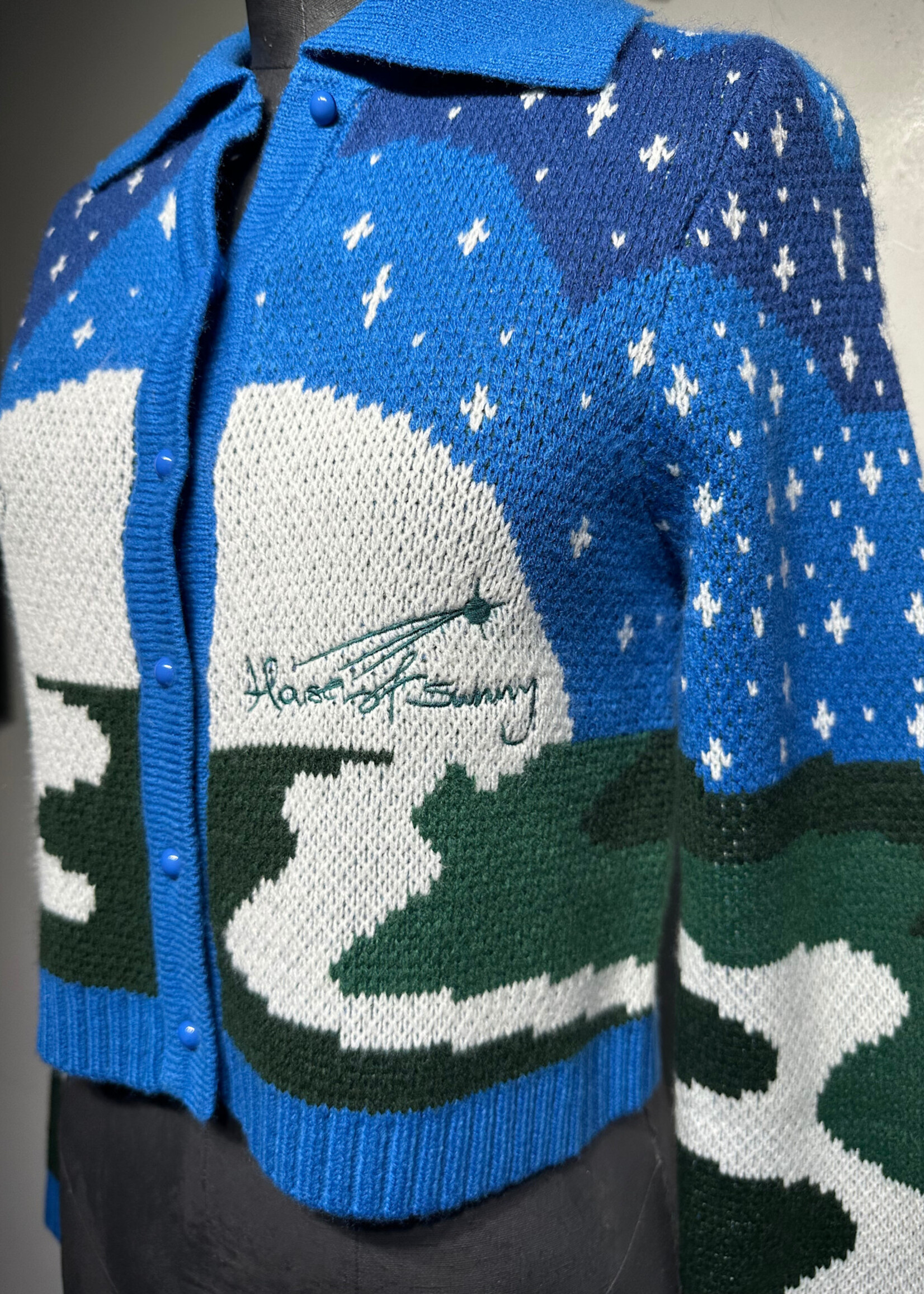 NWT House of Sunny Blue Knit B/U Sweater 2/XS