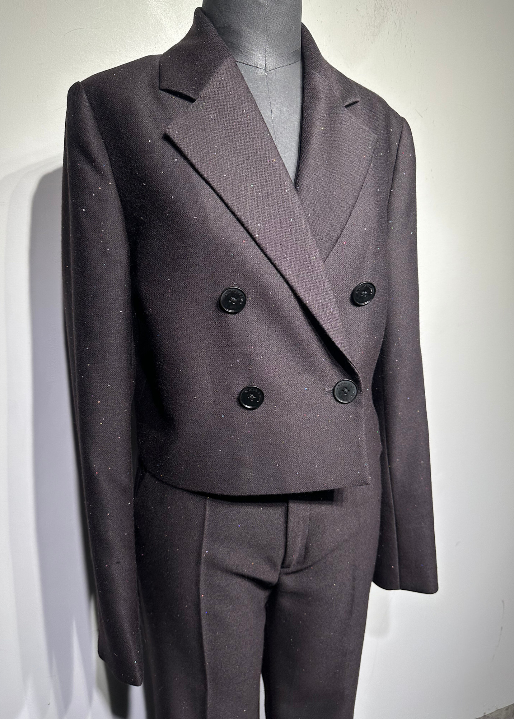 Scotch & Soda NWT Sparkle Pantsuit Set 26/XS