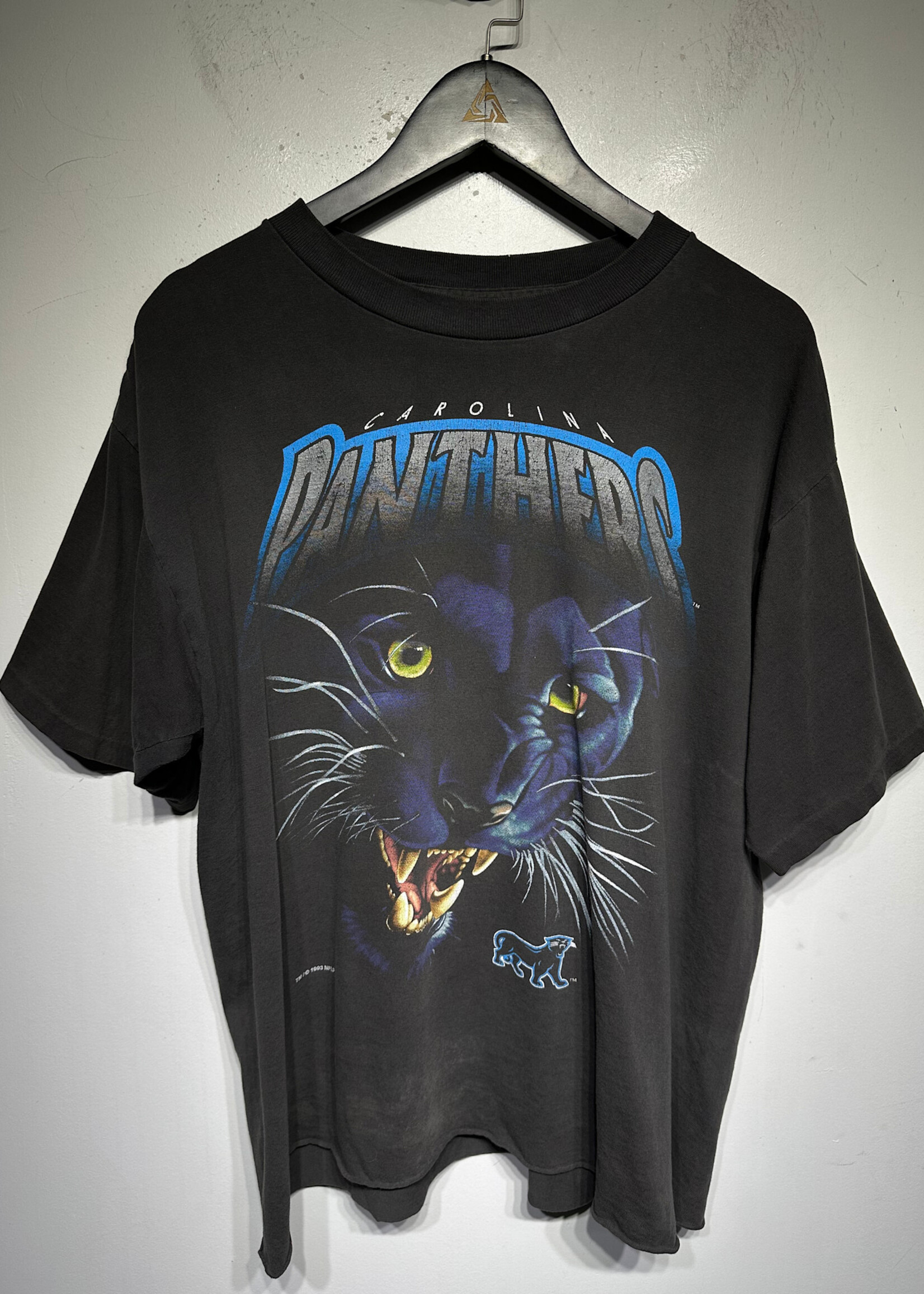 Carolina Panthers Faded Vintage Graphic Tee L