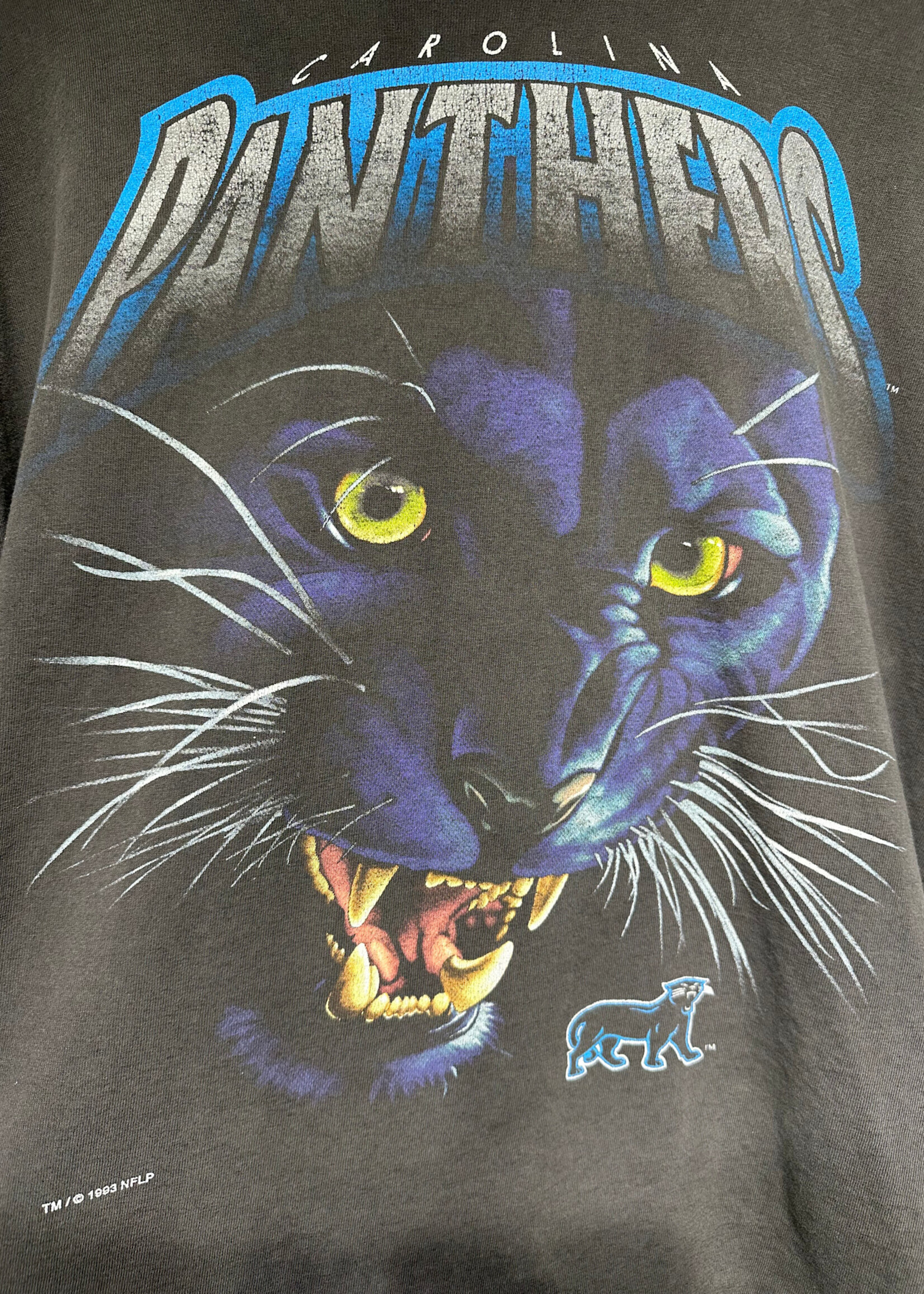 Carolina Panthers Faded Vintage Graphic Tee L