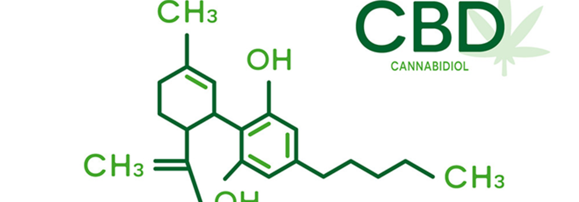 Why We Chose CBD Isolate