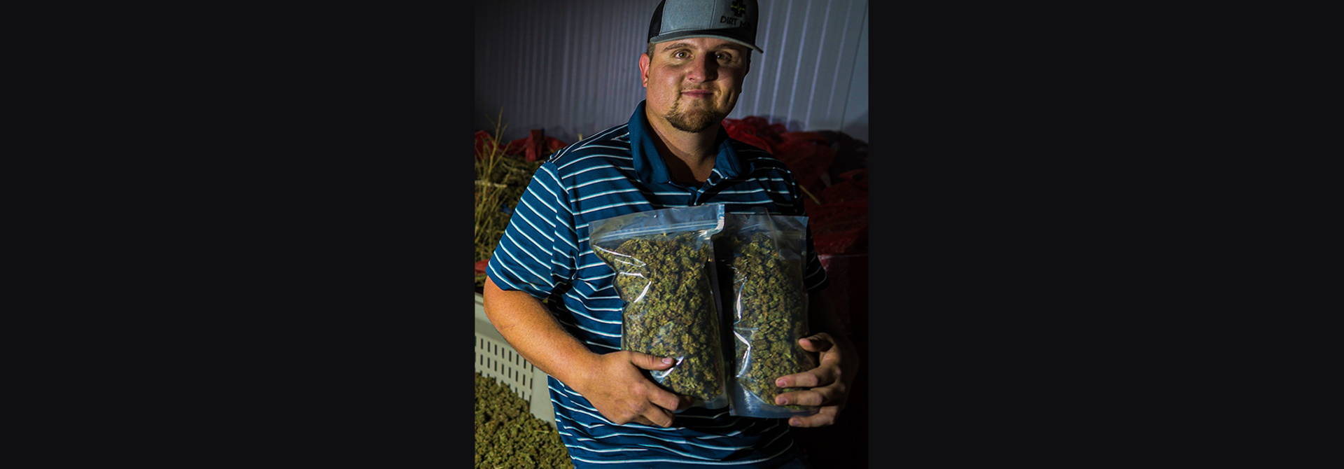 Drying & Curing Hemp