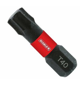 Diablo 1 in. #40 Torx Drive Bits (2-Pack)