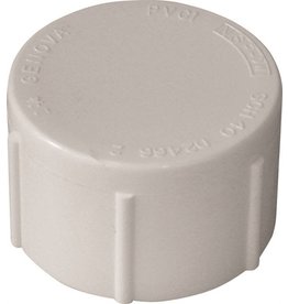 Lasco LASCO 448012BC Pipe Cap, 1-1/4 in, FPT, PVC, White, SCH 40 Schedule