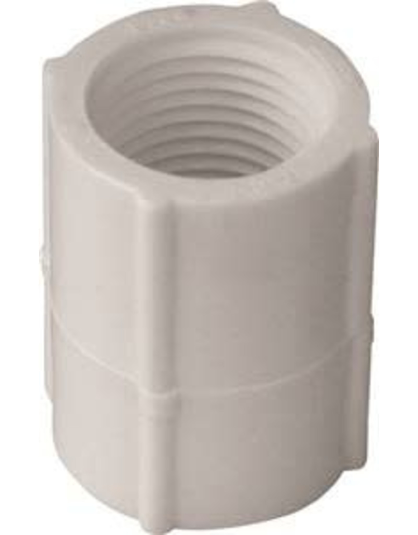 Lasco LASCO 430007BC Pipe Coupling, 3/4 in, FPT, PVC, White, SCH 40 Schedule