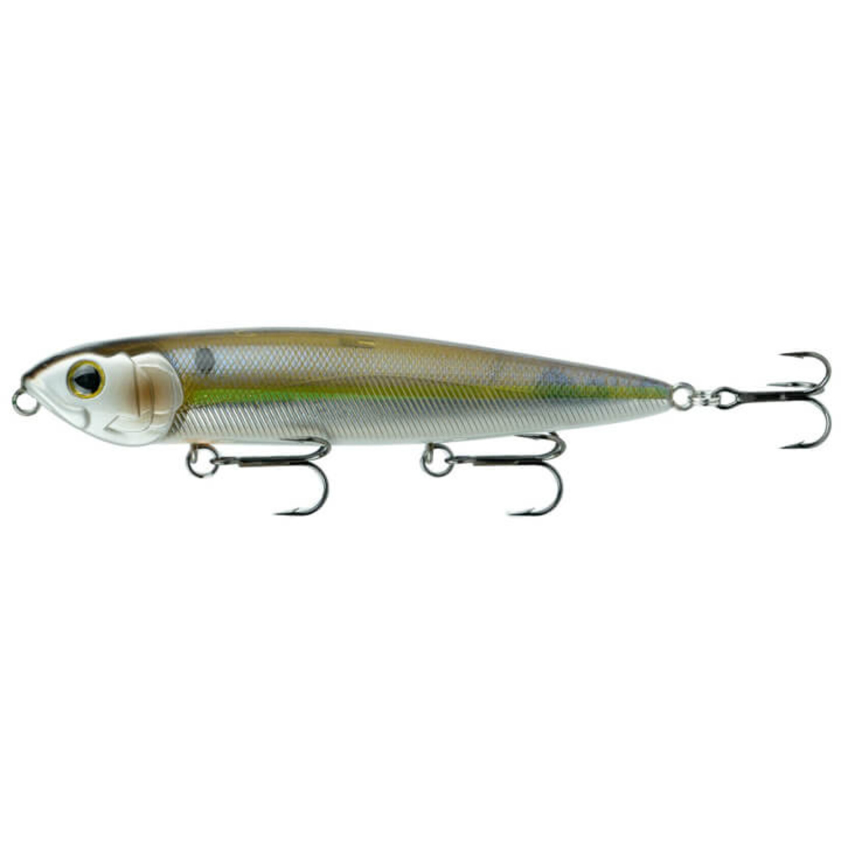 6th Sense  | Dogma "Chrome Threadfin"