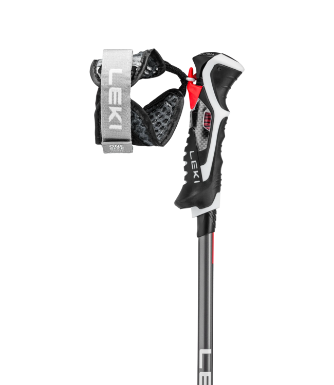 Leki Carbon 14 3D Ski Pole