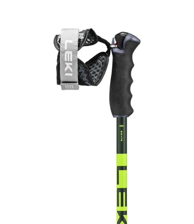 Leki Detect S Ski Poles