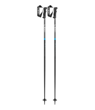 Leki QNTM Ski Poles